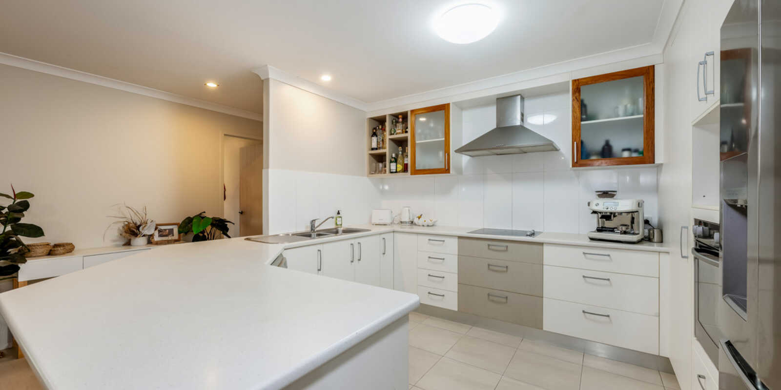 44 Greathead Road Ashfield 44 Greathead Road Ashfield